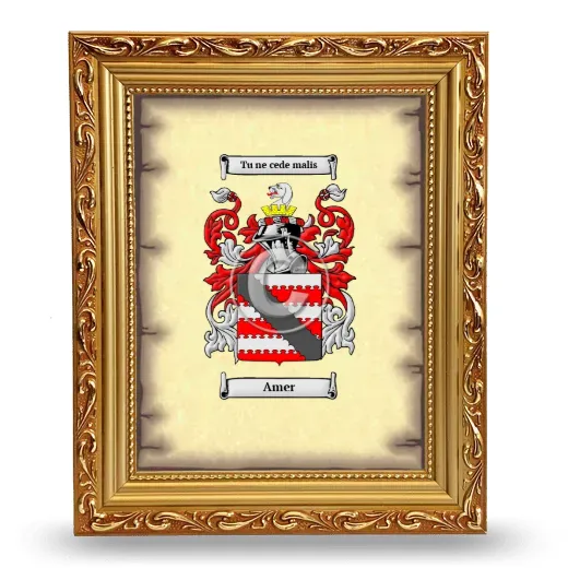 Amer Coat of Arms Framed - Gold