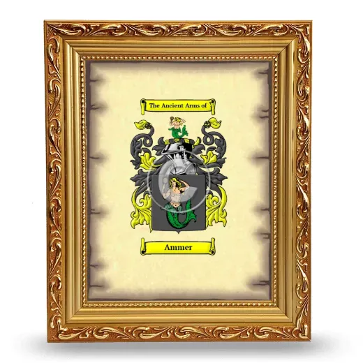 Ammer Coat of Arms Framed - Gold