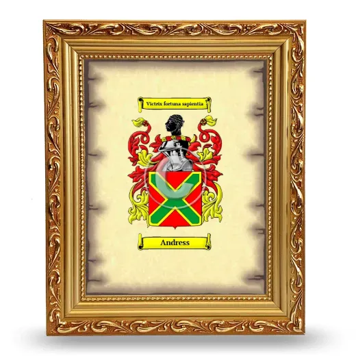 Andress Coat of Arms Framed - Gold