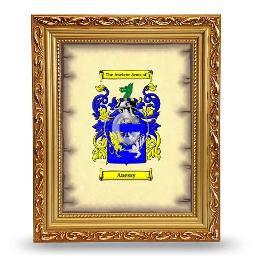 Anessy Coat of Arms Framed - Gold