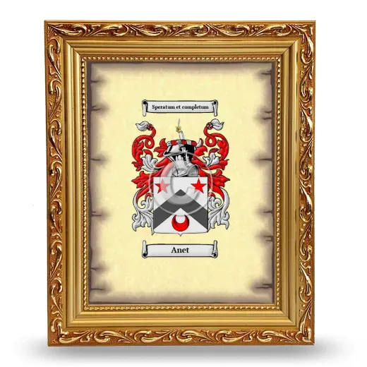 Anet Coat of Arms Framed - Gold