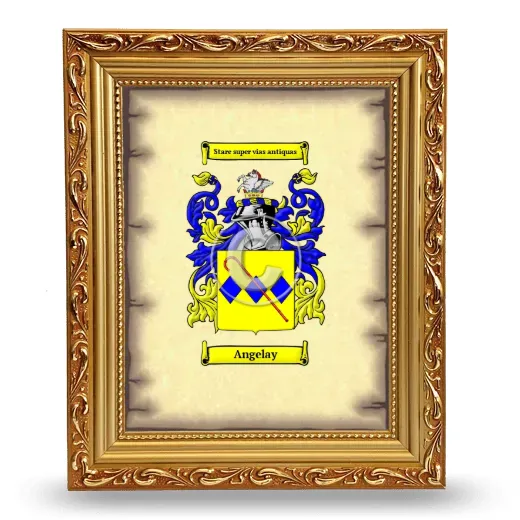 Angelay Coat of Arms Framed - Gold