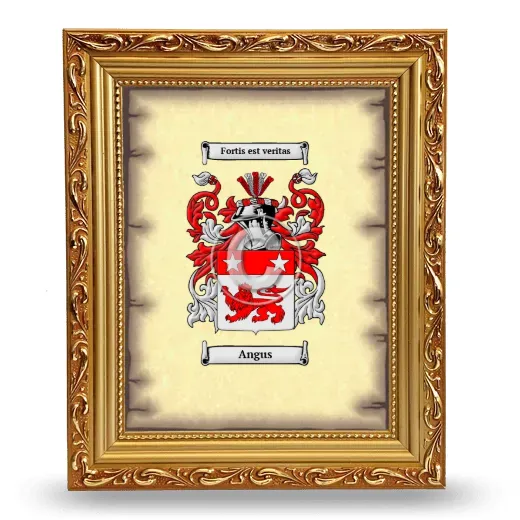 Angus Coat of Arms Framed - Gold