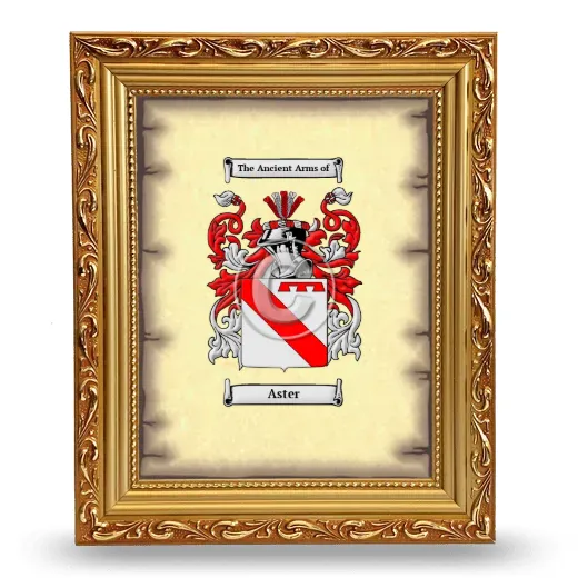 Aster Coat of Arms Framed - Gold