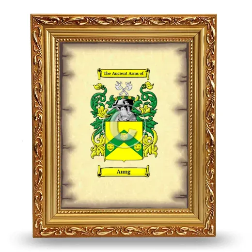 Aung Coat of Arms Framed - Gold