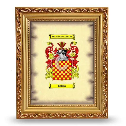 Babka Coat of Arms Framed - Gold