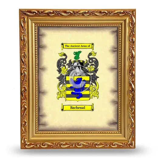 Bachenal Coat of Arms Framed - Gold