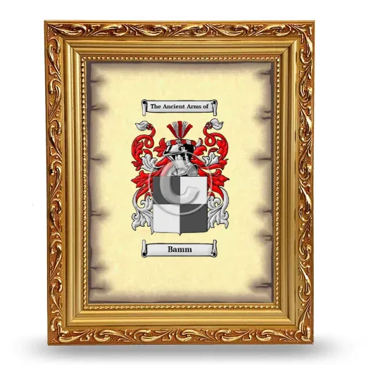 Bamm Coat of Arms Framed - Gold