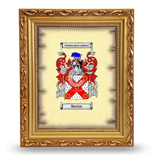 Barron Coat of Arms Framed - Gold