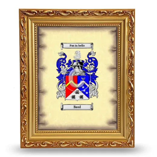 Baul Coat of Arms Framed - Gold