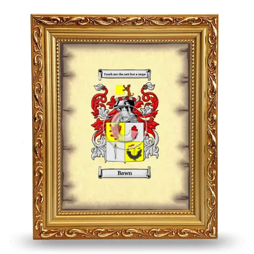 Bawn Coat of Arms Framed - Gold