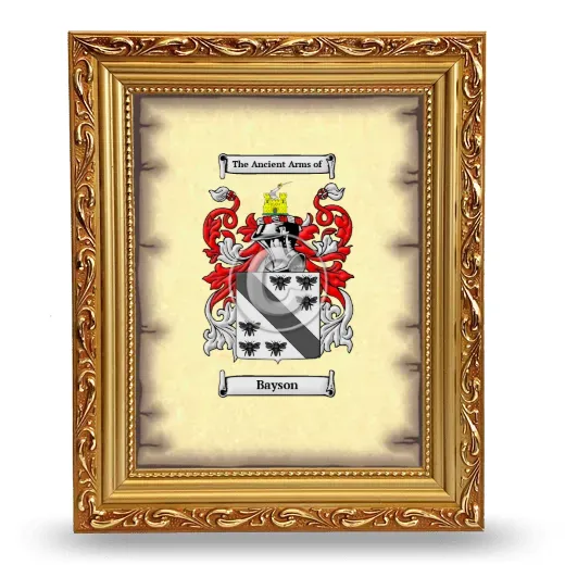 Bayson Coat of Arms Framed - Gold