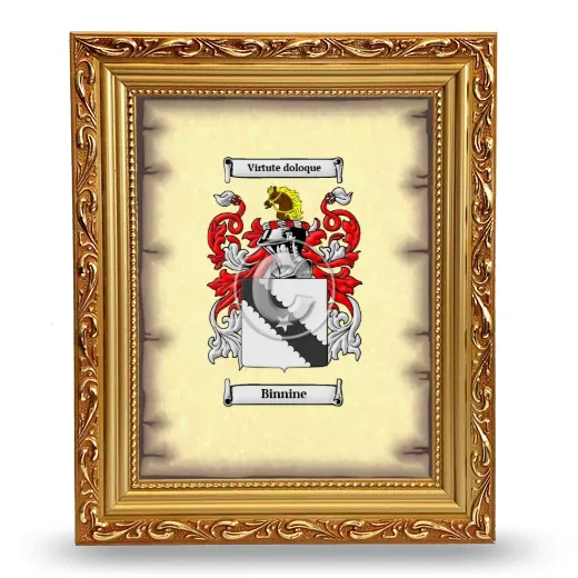 Binnine Coat of Arms Framed - Gold