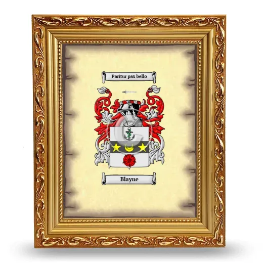 Blayne Coat of Arms Framed - Gold