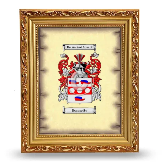 Bonnette Coat of Arms Framed - Gold
