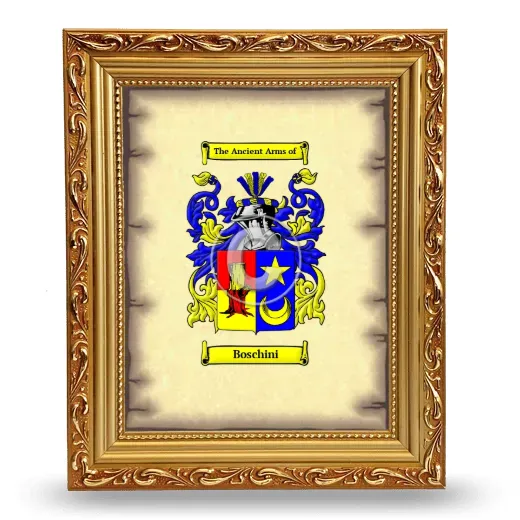 Boschini Coat of Arms Framed - Gold