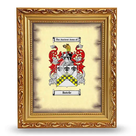 Botele Coat of Arms Framed - Gold