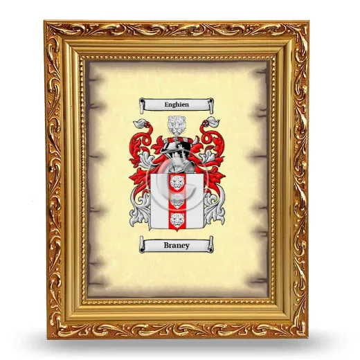 Braney Coat of Arms Framed - Gold