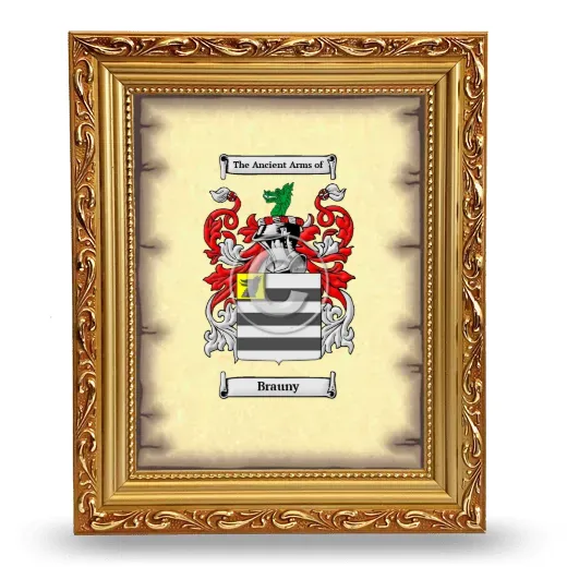 Brauny Coat of Arms Framed - Gold