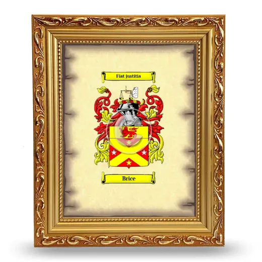 Brice Coat of Arms Framed - Gold