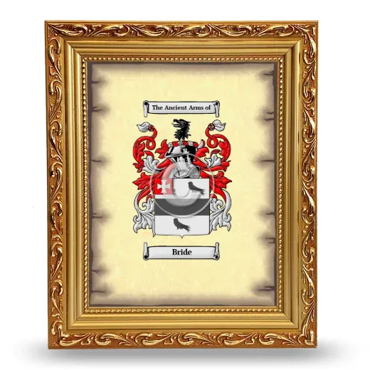 Bride Coat of Arms Framed - Gold