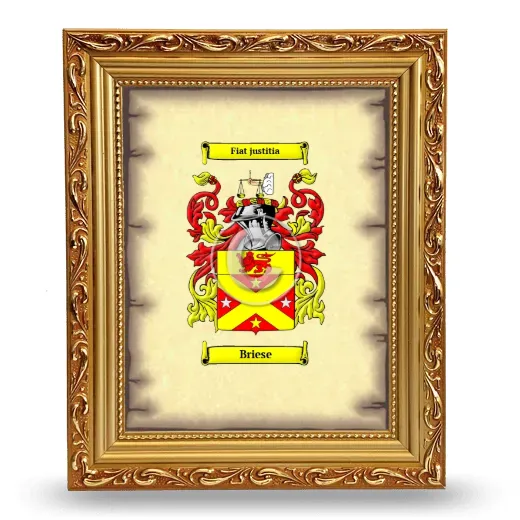 Briese Coat of Arms Framed - Gold