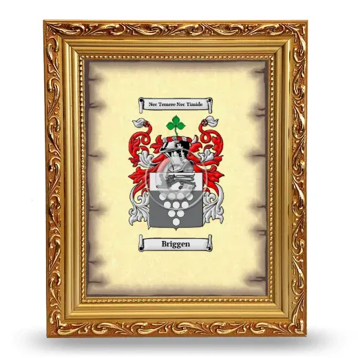 Briggen Coat of Arms Framed - Gold