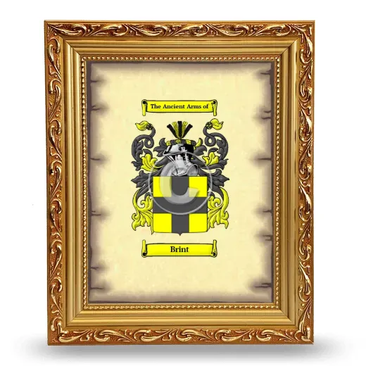 Brint Coat of Arms Framed - Gold