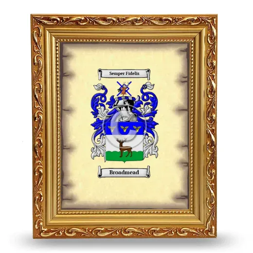Broadmead Coat of Arms Framed - Gold