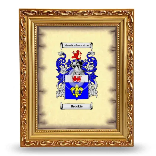 Brockie Coat of Arms Framed - Gold