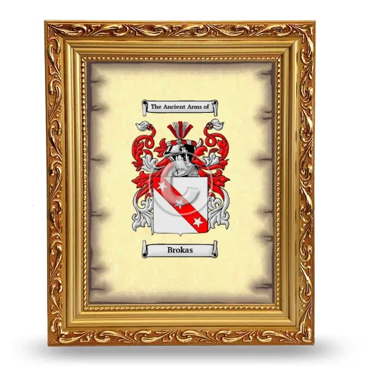 Brokas Coat of Arms Framed - Gold
