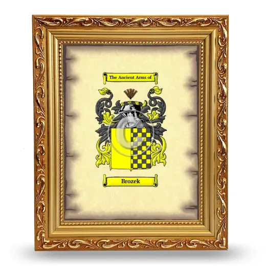 Brozek Coat of Arms Framed - Gold