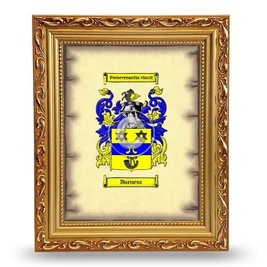 Burness Coat of Arms Framed - Gold
