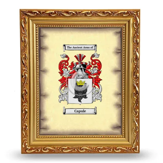Capule Coat of Arms Framed - Gold