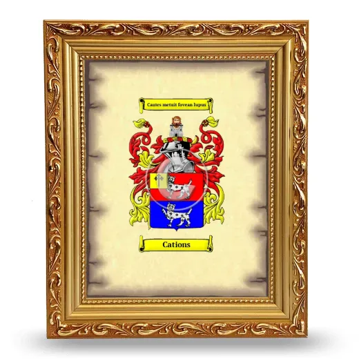 Cations Coat of Arms Framed - Gold