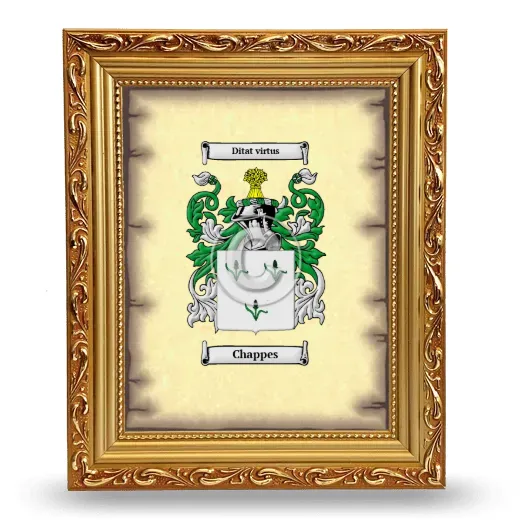 Chappes Coat of Arms Framed - Gold