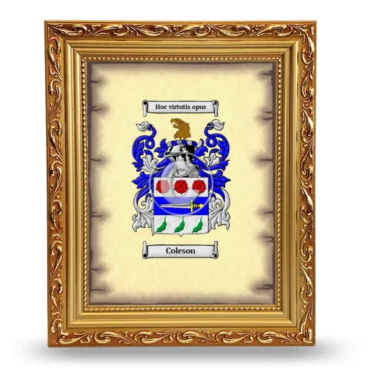 Coleson Coat of Arms Framed - Gold