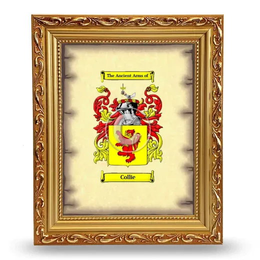 Collie Coat of Arms Framed - Gold