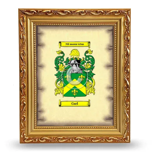 Curl Coat of Arms Framed - Gold