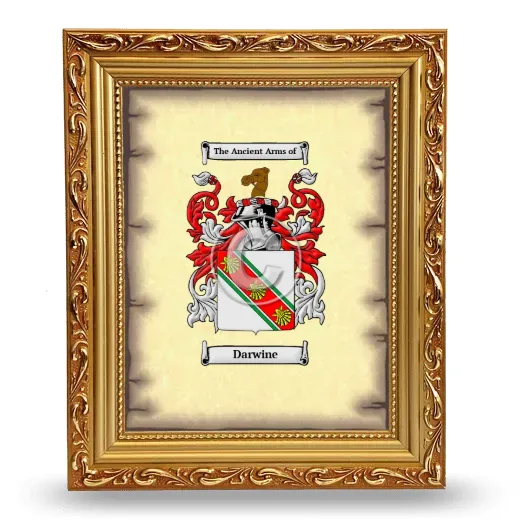 Darwine Coat of Arms Framed - Gold
