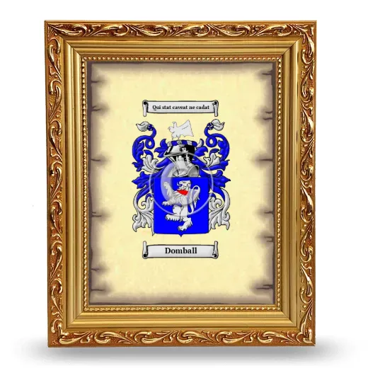 Domball Coat of Arms Framed - Gold