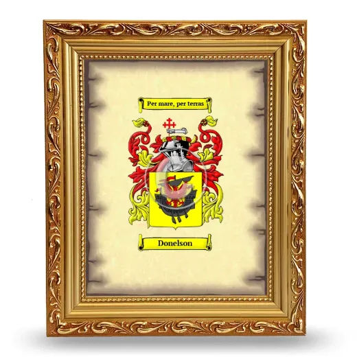 Donelson Coat of Arms Framed - Gold
