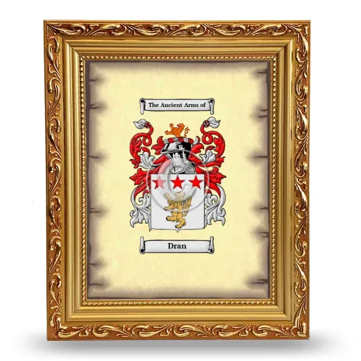 Dran Coat of Arms Framed - Gold