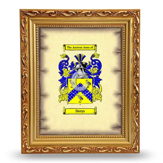 Dreys Coat of Arms Framed - Gold