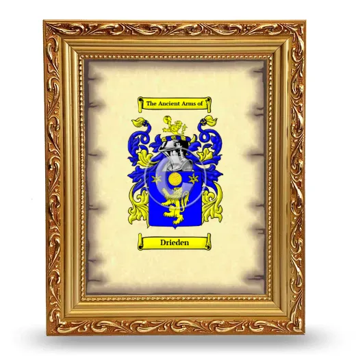 Drieden Coat of Arms Framed - Gold