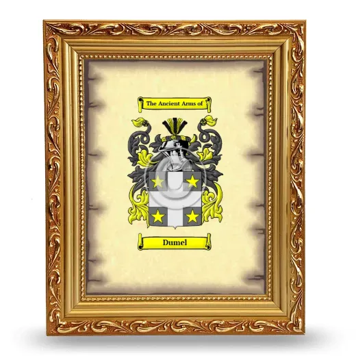Dumel Coat of Arms Framed - Gold