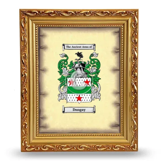 Dungay Coat of Arms Framed - Gold