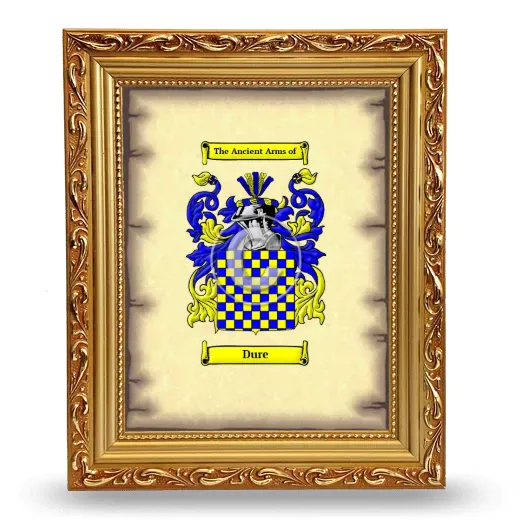 Dure Coat of Arms Framed - Gold