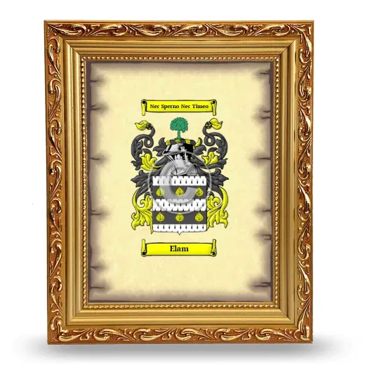 Elam Coat of Arms Framed - Gold