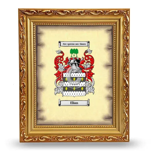 Elian Coat of Arms Framed - Gold